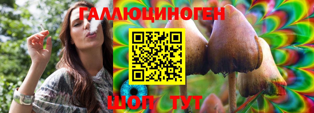 Псилоцибиновые грибы ЛСД Лосино-Петровский